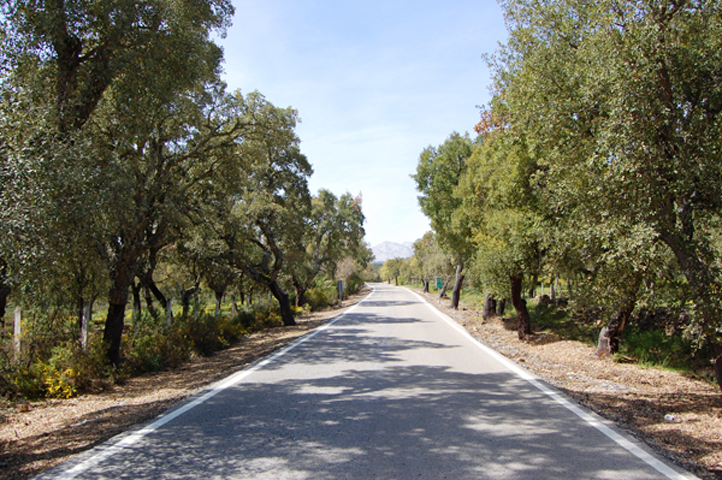 Road A-372 to Grazalema